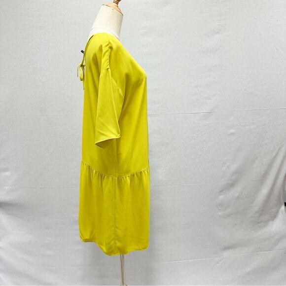 Eileen Fisher Drop Waist Shift Dress Back Tie Lagenlook in Yarrow Citron Size XS - Picture 10 of 16